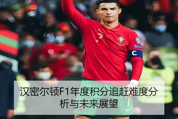 汉密尔顿F1年度积分追赶难度分析与未来展望 - crownsports